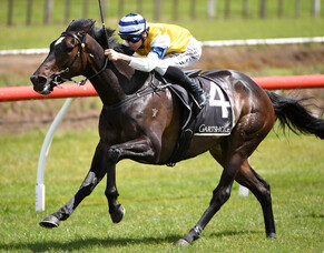 Mary Shan stuns El Vencedor in Challenge Stakes