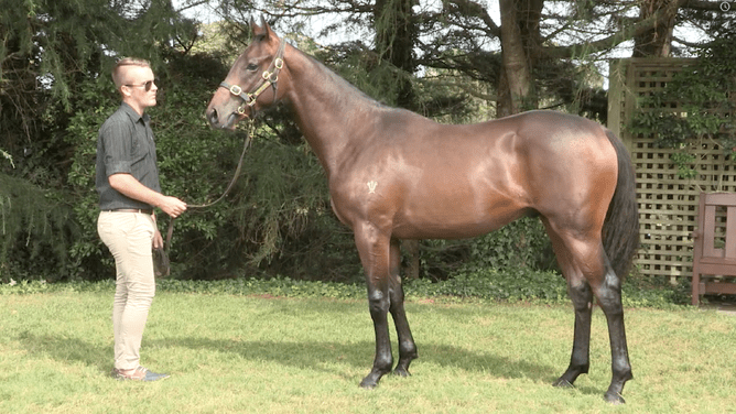 Brad Molander pictured with Make Time as a yearling - Photo: Eclare Productions
