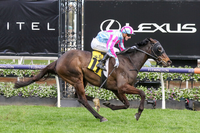 High Emocean is well clear as she races to victory at Flemington - Photo: Bruno Cannatelli