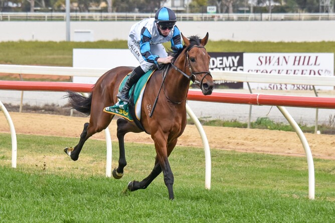 Let’s Karaka Deel will contest the Gr.1 Victoria Derby (2500m) at Flemington on Saturday. Photo: Brendan McCarthy (Racing Photos)