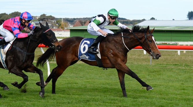 Ryan Elliot and Danger Strykes have the situation under control as they take out the Listed John Turkington Forestry Ltd Castletown Stakes (1200m) at Whanganui - Photo Credit: Race Images – Grant Matthew