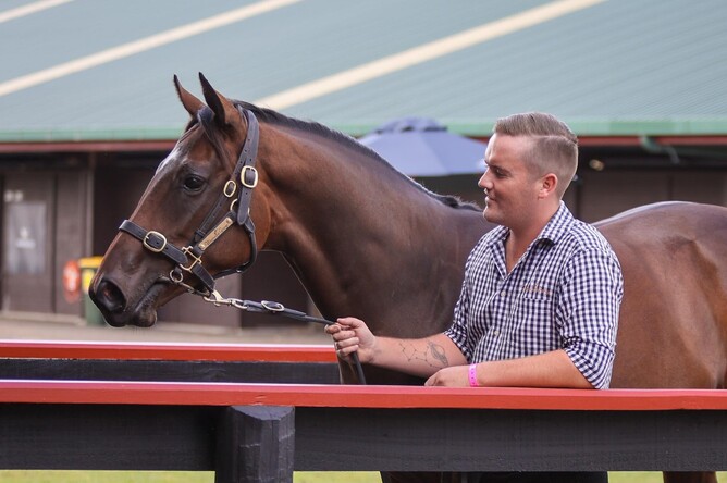 Brad and the Pierro x Pica Pica filly at Karaka 2022