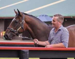 Meet The Team: Brad Molander, Yearling Manager