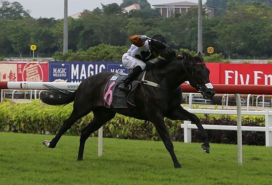 Howl (NZ) strides out nicely to claim race 7 - photo: Singapore Turf Club