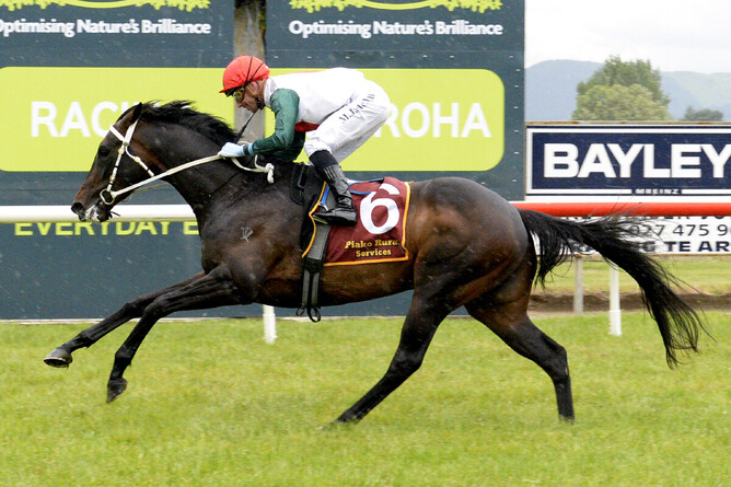 Global Currency put eight lengths on his rivals to win at Te Aroha on Tuesday. Photo: Kenton Wright, Racing Images (via NZ Racing Desk)