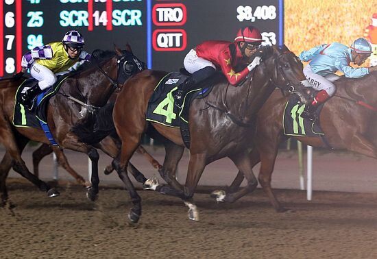Lim's Dashing on his way to winning in Singapore after a long layoff. Photo: Singapore Turf Club.