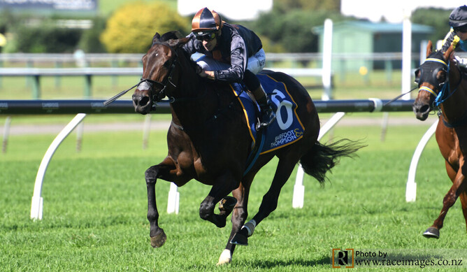 Mai Tai on her way to winning at Ellerslie. - Photo: Race Images