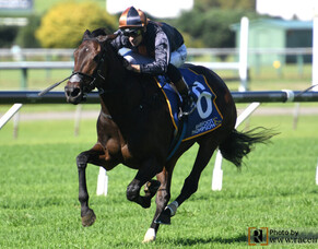 Ellerslie win for Mai Tai