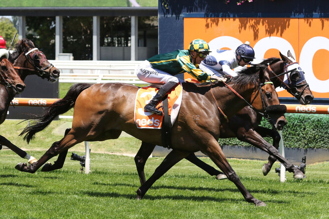Dragon Storm wins the Listed Sandown Cup (3200m) - Photo Credit: Bruno Cannatelli