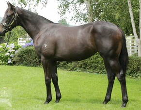 Easifar claims stakes win