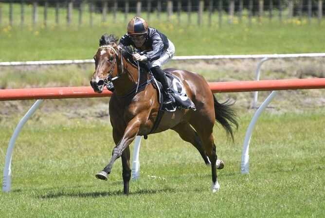 Miss Bo Peep winning at Tauranga on Saturday.   - Photo: Kenton Wright (Race Images)