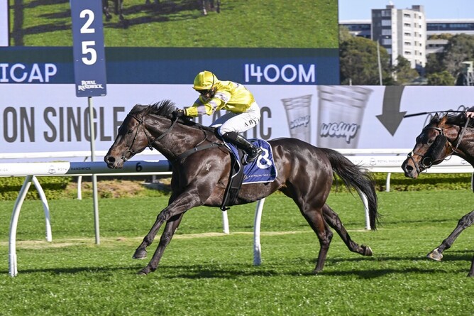 With Your Blessing claims victory in the Bill Ritchie Handicap at Randwick. - Photo: bradleyphotos.com.au
