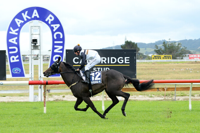 Blissfull Lady winning at Ruakaka on Friday. - Photo: Therese Davis (Race Images)