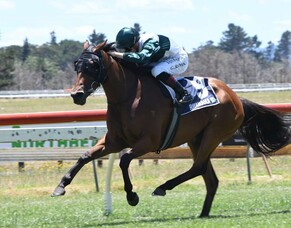 Oaks-bound filly readying for Champions Day assignment