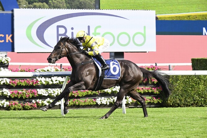 With Your Blessing winning the Macquarie St Social Handicap at Randwick for jockey Alysha Collett. Photo: bradleyphotos.com.au