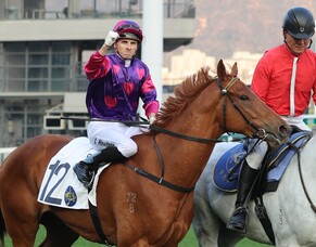 Sha Tin double for Wentwood graduates