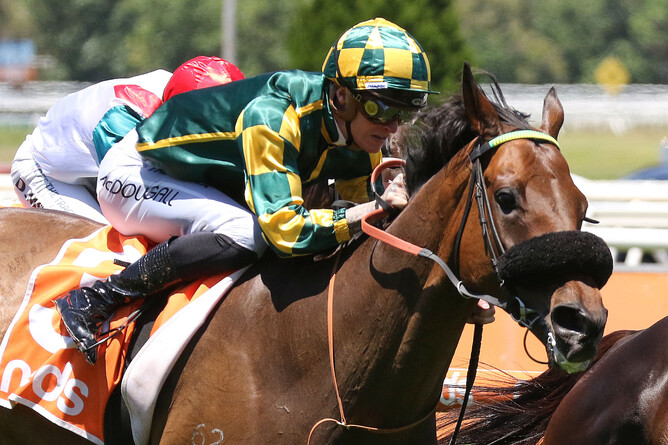 Dragon Storm winning the Listed Sandown Cup (3200m). - Photo: Bruno Cannatelli