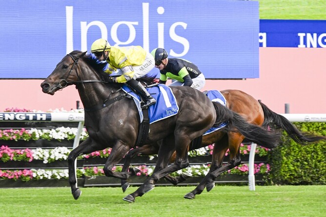 With Your Blessing wins the A$160,000 Inglis Classic Sale Handicap (1100m) at Randwick on Saturday. - Photo: bradleyphotos.com.au