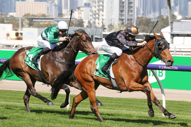 Damian Lane guides She’s Licketysplit to victory in the Gr.2 Edward Manifold Stakes (1600m) at Flemington -  Photo credit: Bruno Cannatelli