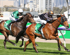 Flemington Group Two triumph for She&rsquo;s Licketysplit