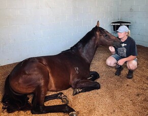 Meet The Team: Hannah Rose Cook