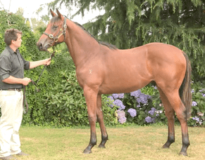 Kolding claims second Group One