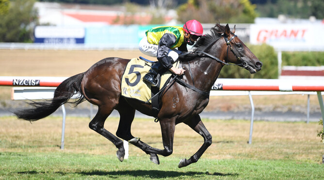 The Chosen One and rider Matt Cameron are well clear as they head to the finish of the Gr.1 Harcourts Thorndon Mile (1600m) at Trentham - Photo: Peter Rubery, Race Images