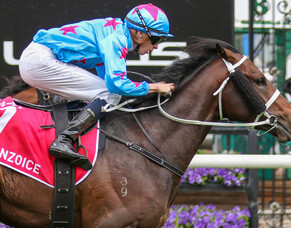 Breeder&rsquo;s Choice reaps Derby reward