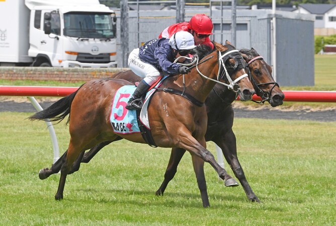 Intention winning Saturday's Gr.2 Happy Hire Wakefield Challenge Stakes (1100m) at Trentham. - Photo: Peter Rubery (Race Images Palmerston North)