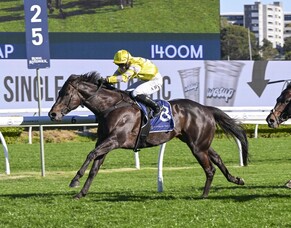 Favorite yearling posts career highlight