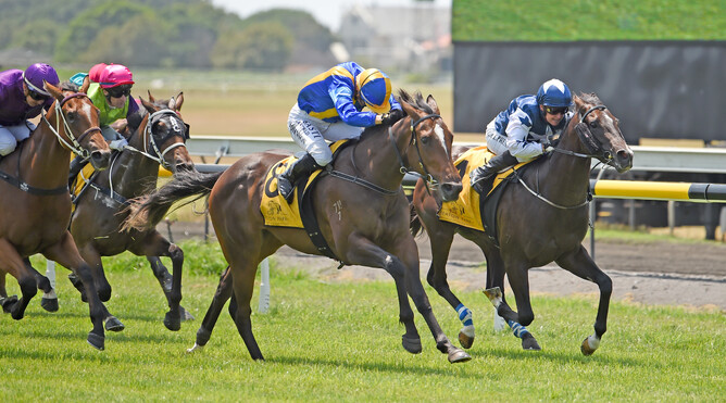 Bonita Aurelia (centre) drives hard to take out the Gr.3 Woburn Farm 2YO Classic (1200m) at New Plymouth Photo credit: Race Images – Peter Rubery