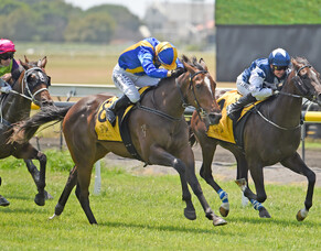 Wentwood graduate takes Taranaki juvenile feature