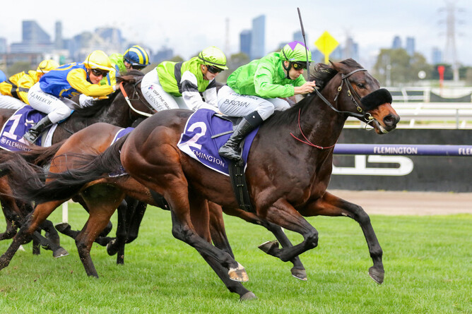 Virtuous Circle winning at Flemington on Saturday. - Photo: Bruno Cannatelli