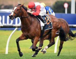 Affirmative Action springs massive upset at Ellerslie
