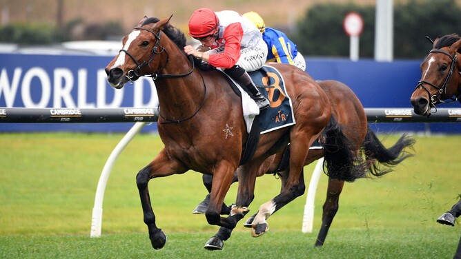 Affirmative Action winning the Listed Sir Colin Meads Trophy (1200m) at Ellerslie.  - Photo: Kenton Wright (Race Images)
