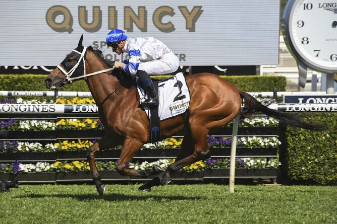 Gr.1 Cox Plate (2040m) contender Kolding. Photo: Bradleyphotos.com.au