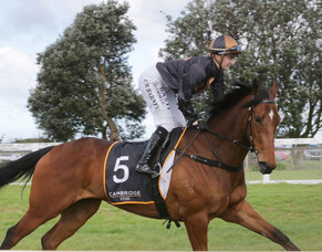 Top filly off to Aussie, lickety split