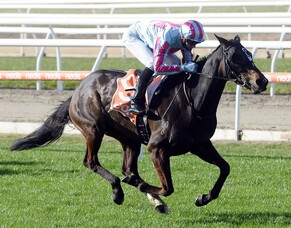 Emocean rises to the task in Classic