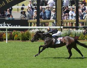 Cheers for Mai Tai at Ellerslie