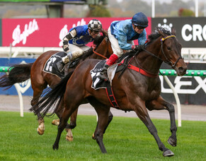 Gift produces dream Melbourne Cup start