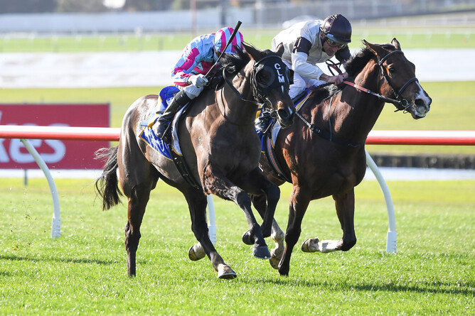 High Emocean winning at Sandown on Wednesday. Photo: Pat Scala (Racing Photos)