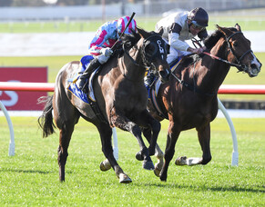 High class filly scores at Sandown