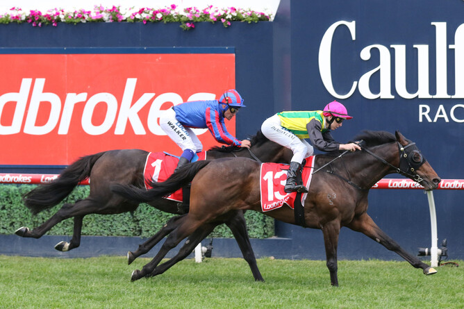 The Gr.1 Melbourne Cup (3200m) will be a likely target for The Chosen One this spring. -  Photo: Bruno Cannatelli