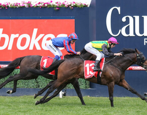 Melbourne Cup realistic target for young Kiwi stayer