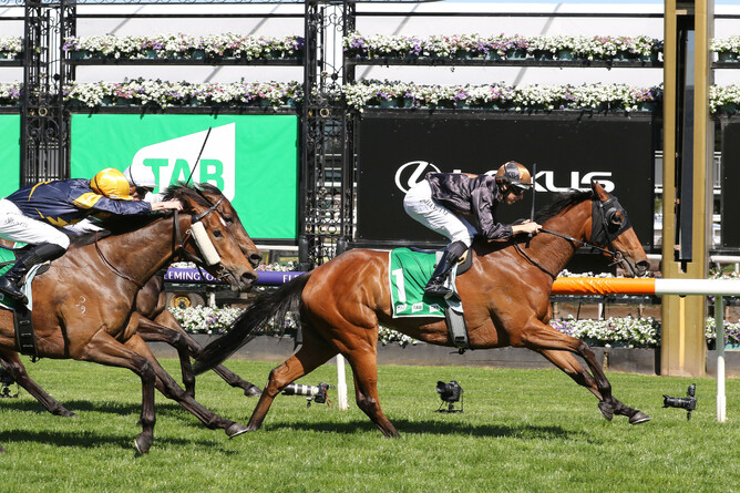 Lickety Split has been retired. - Photo: Bruno Cannatelli