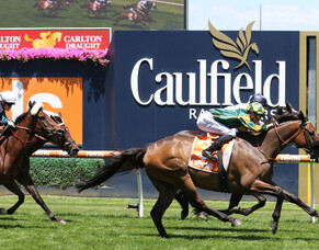 Dragon Storm swoops to land Sandown Cup