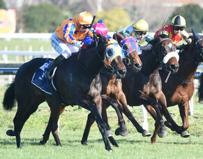 Quintessa retains unbeaten record in Gold Trail Stakes