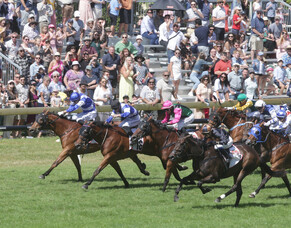 No time for Mai Tais as Karaka looms