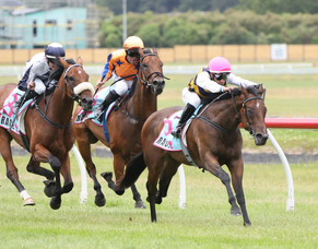 Rutten has sweet tooth for KM 2YO