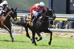 Elate - Savabeel x High Joy